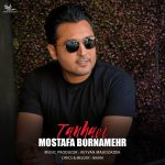 mostafae-bornamehr-tanhaei