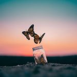 emoji-lose-midim-texamon