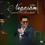 hamid-talebzadeh-negaram