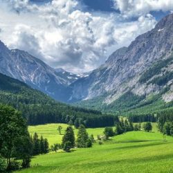 اهنگ بگو آمین یا رب العالمین از ساسی