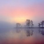 hayede-qasam-be-chesman-maste-to