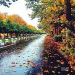 hayede-fasle-gole-fasle-aqaqi