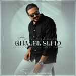 ghalbe-sefid-ai-shadmehr